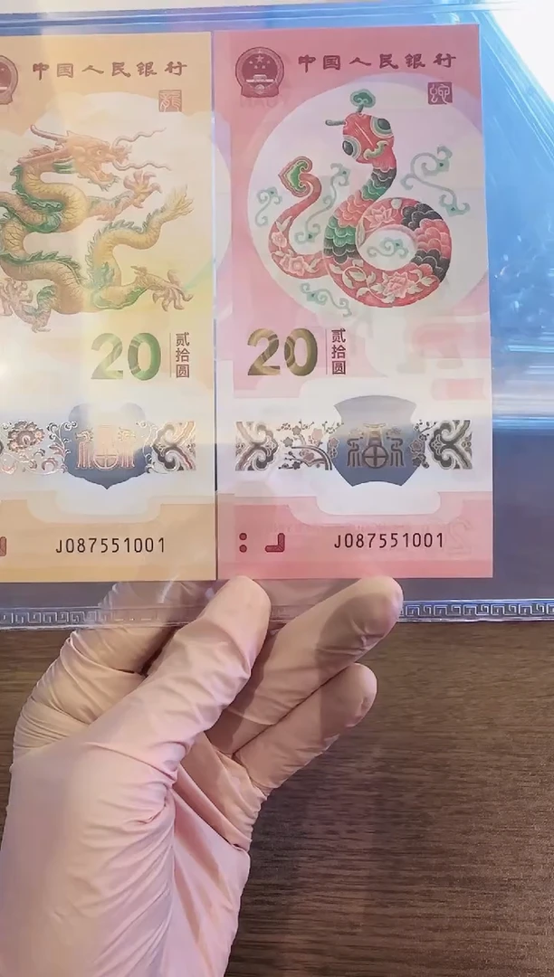 塑料2025龙蛇全同号一对啊啊啊啊