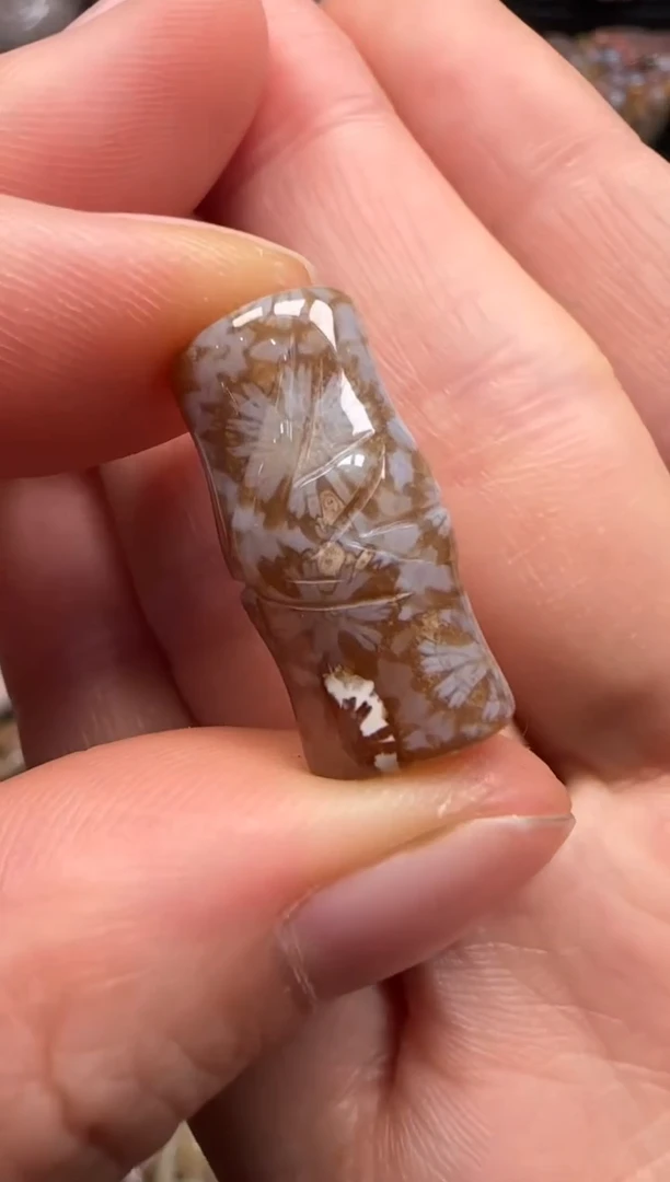 【闪购商品】硅化珊瑚（珊瑚玉）颈饰未镶嵌275