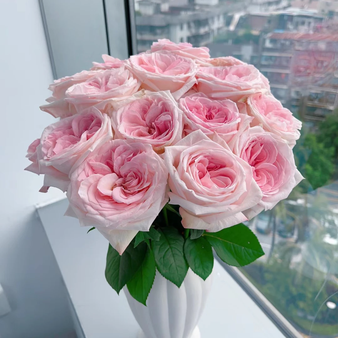 【松原鲜花直送】荔枝玫瑰 10支