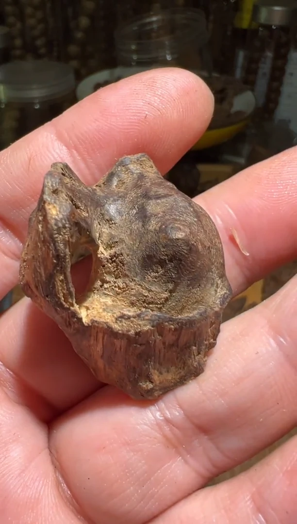 沉香沉香碎屑加里曼丹4.4克