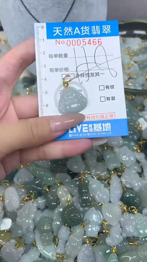 翡翠未镶嵌颈饰净货挂件-5466