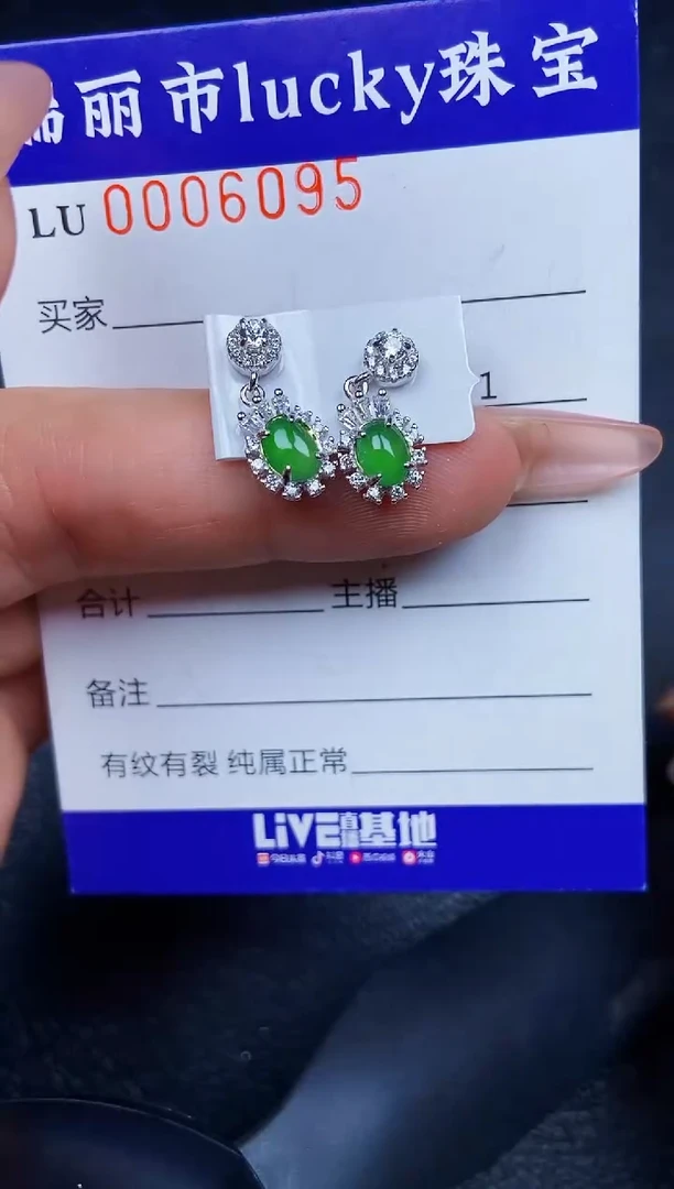 翡翠银S925镶嵌颈饰6095