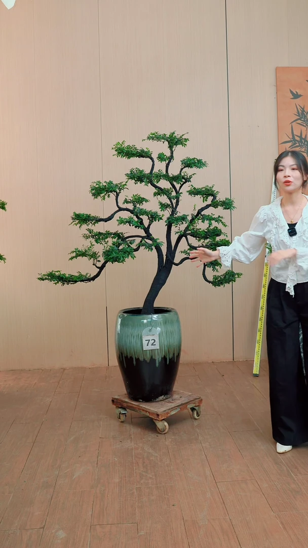 全部花朵【闪购链接】72号链接