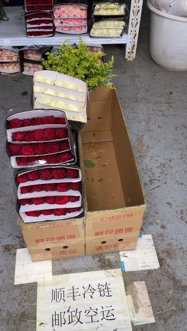 高原红2扎+骄傲1扎+黄莺