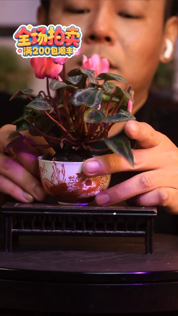 完全开放H2草本植物 不包邮