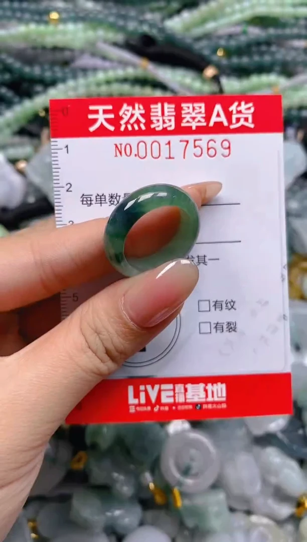 颈饰未镶嵌翡翠闪购0017569圈口17