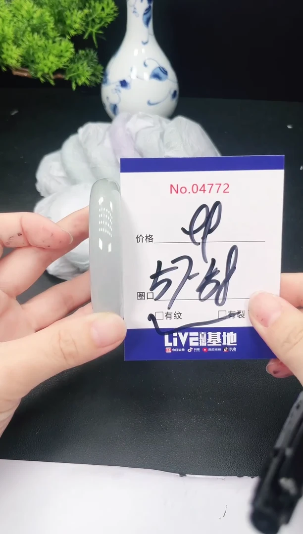 未镶嵌手镯翡翠4772