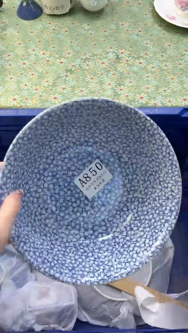 【闪购商品】瓷片          A850