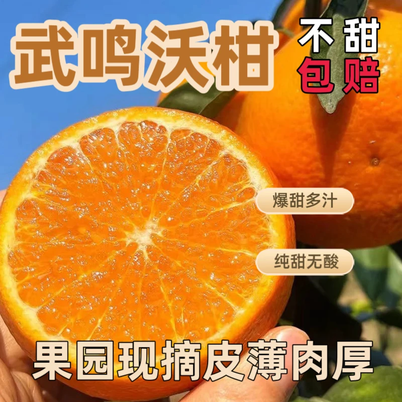【武鸣沃柑】10斤 A级 高品质 新鲜现摘 应季水果 香甜爆汁 热度