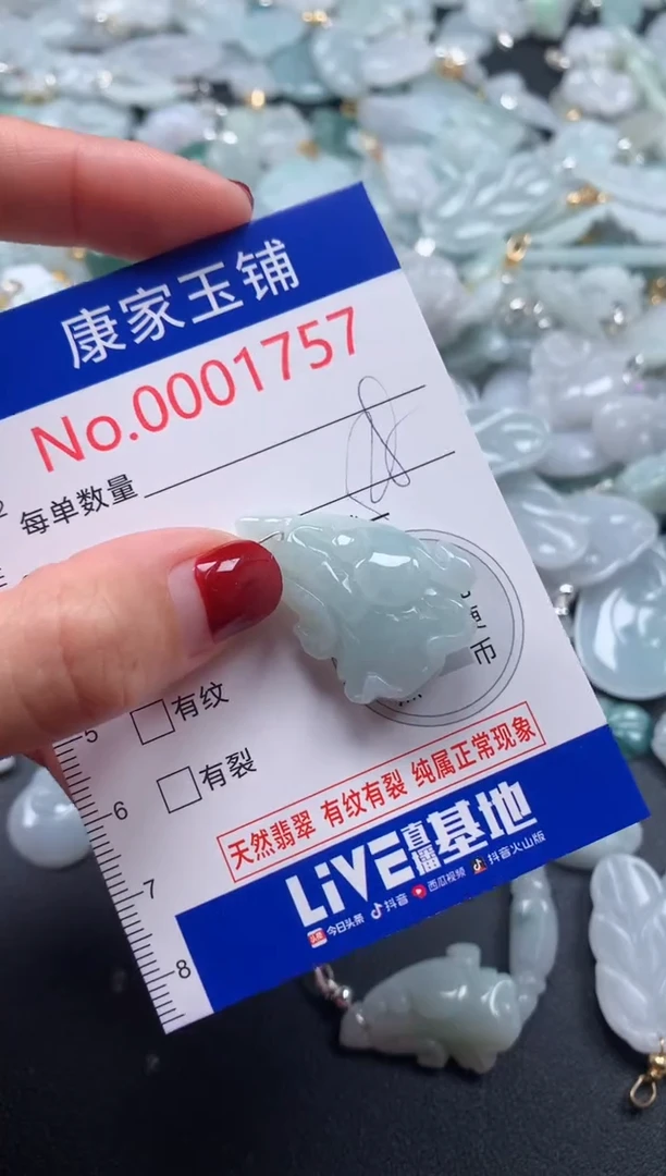 颈饰未镶嵌翡翠1757