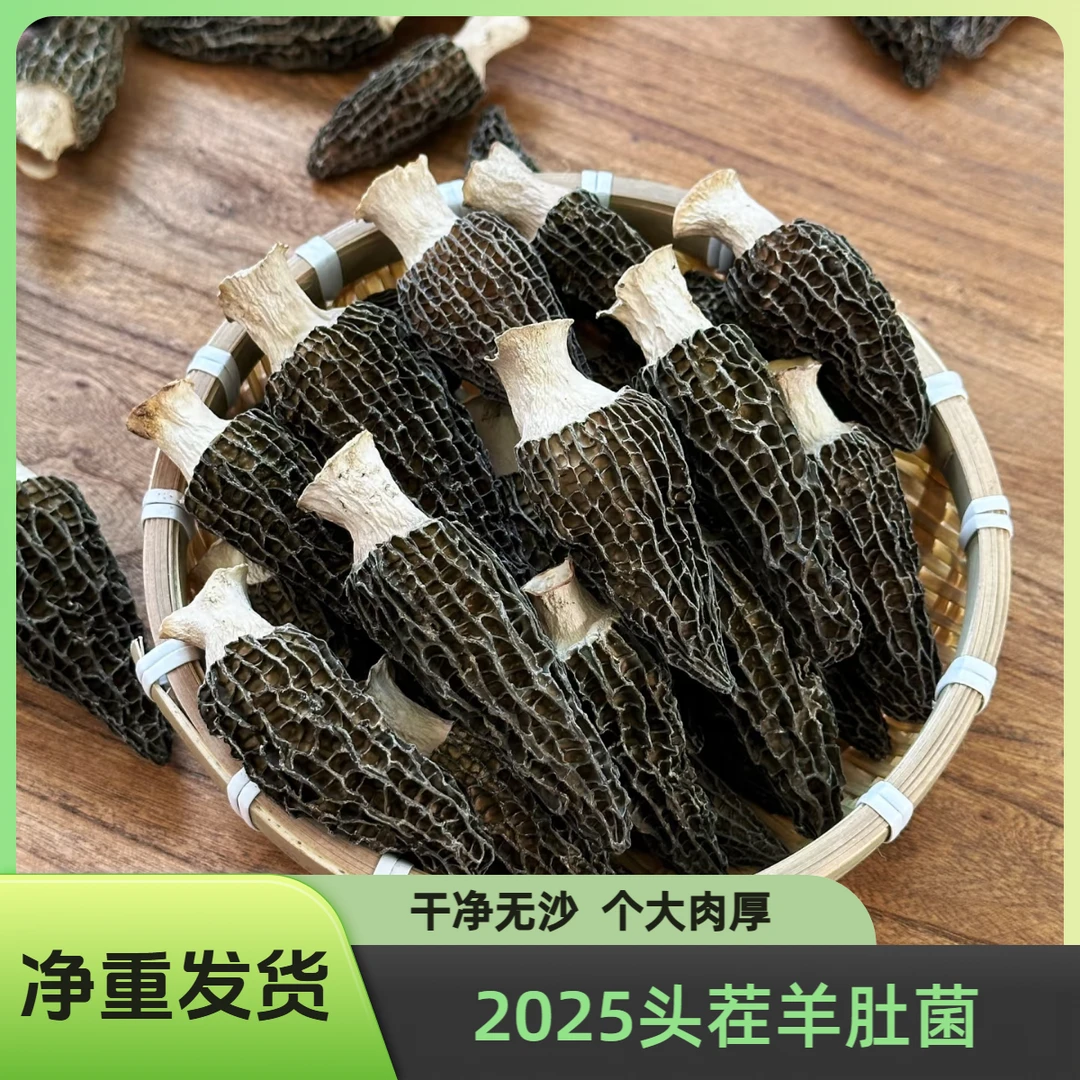 2025头茬羊肚菌-高性价比羊肚菌干货 精品羊肚菌