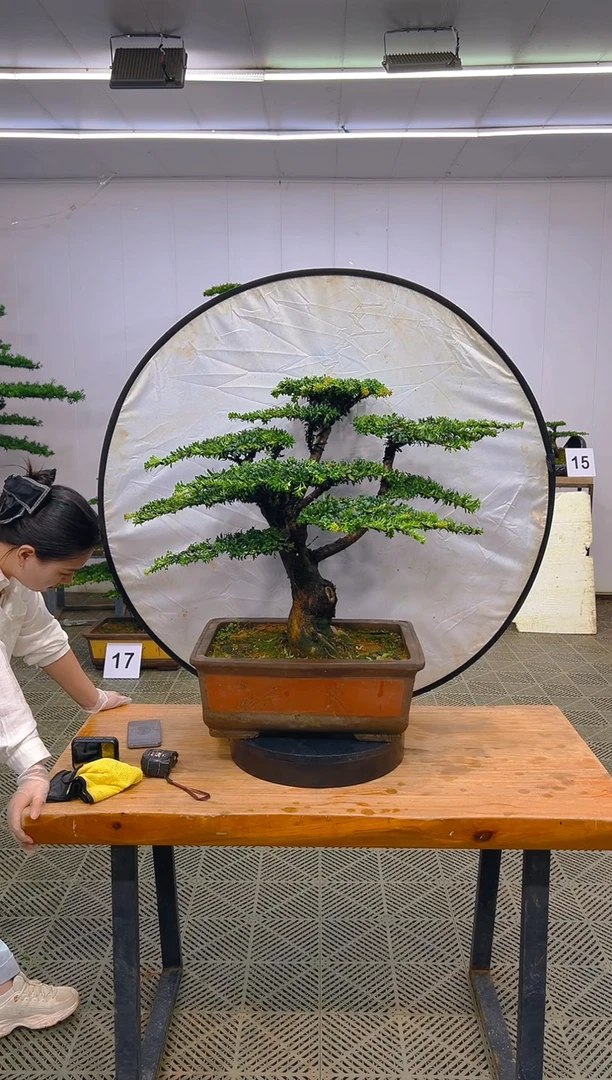 无花朵中**瓷一物一拍一物一拍