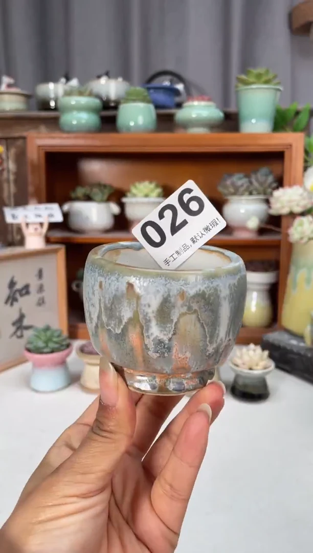 瓷片026知木小芳花盆