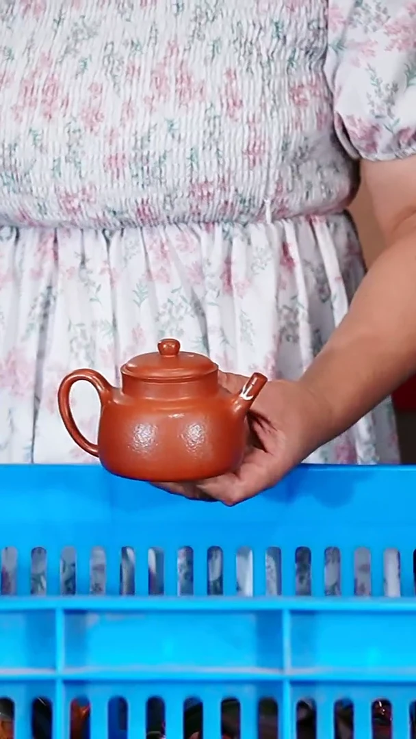 宜兴原矿紫砂壶茶壶150C