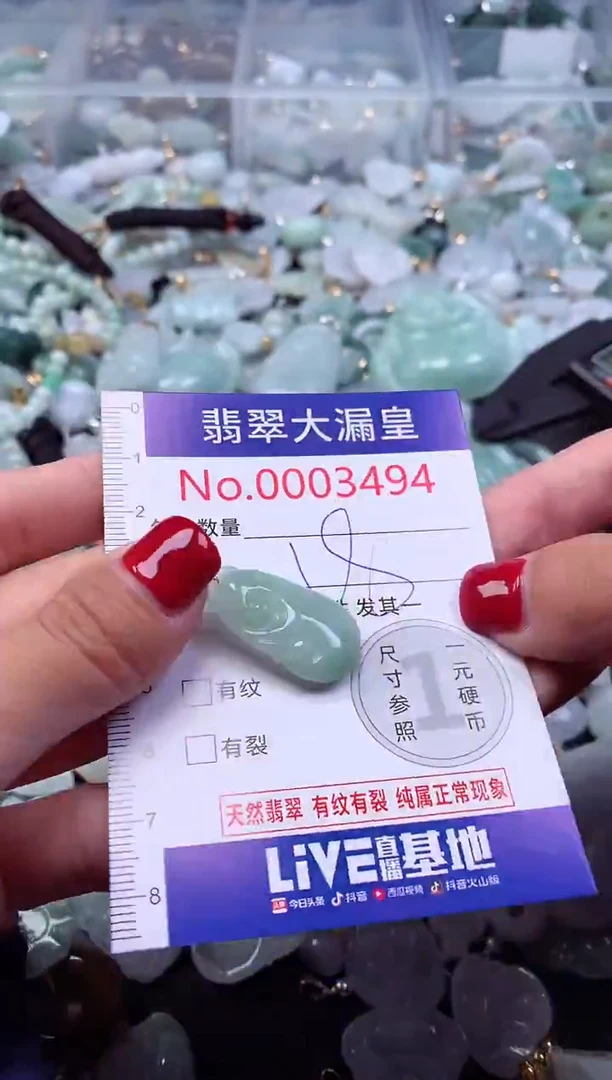 颈饰未镶嵌翡翠3494