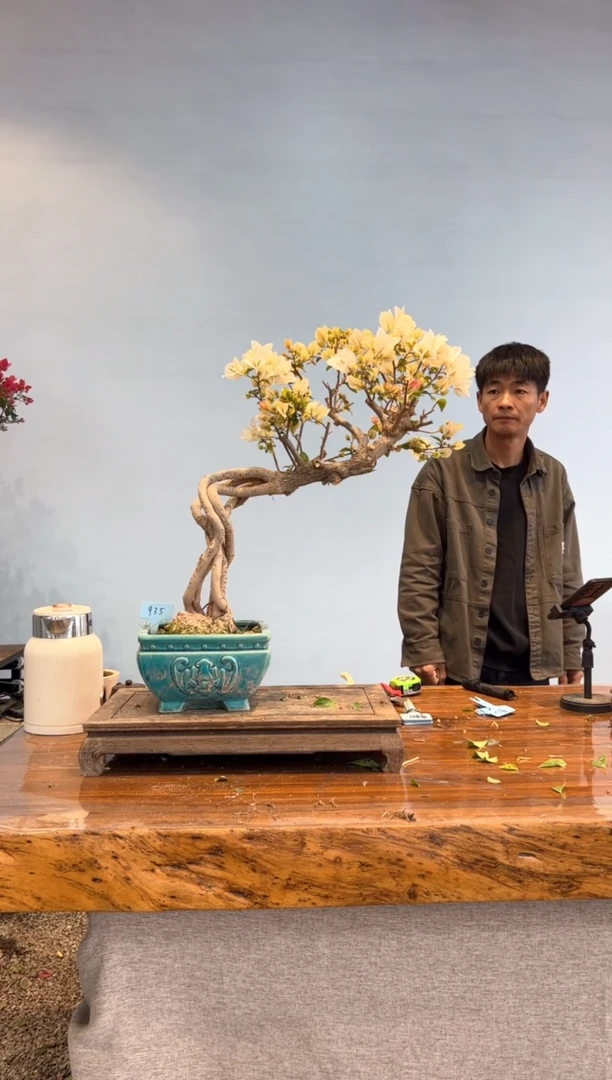 【闪购商品】aa935