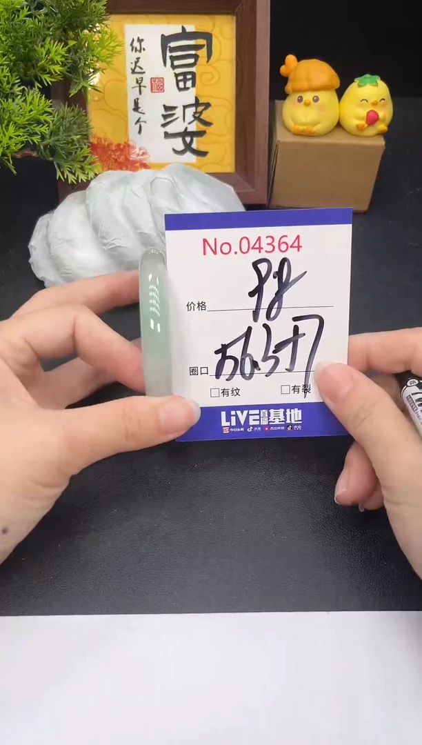 未镶嵌手镯翡翠4364