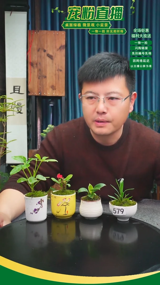 无花朵信****）苔藓微景观579号