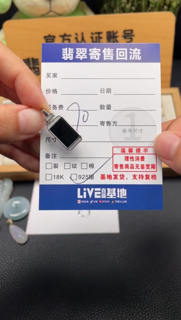 颈饰银S925镶嵌翡翠10150695