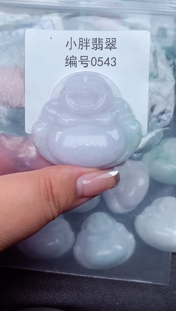 翡翠未镶嵌颈饰缅甸天然A货翡翠0543