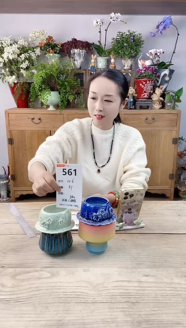 小玩子花盆直播编号561