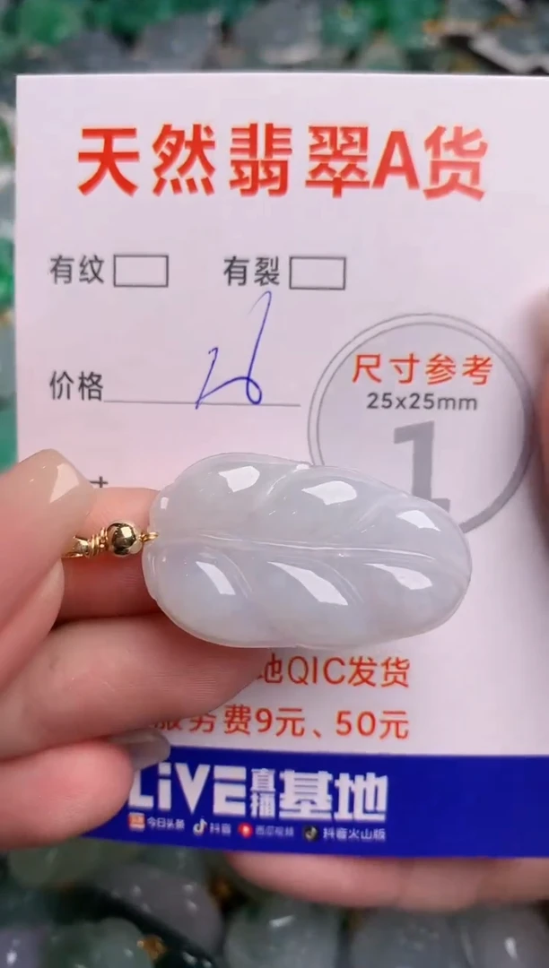 翡翠未镶嵌颈饰23000469