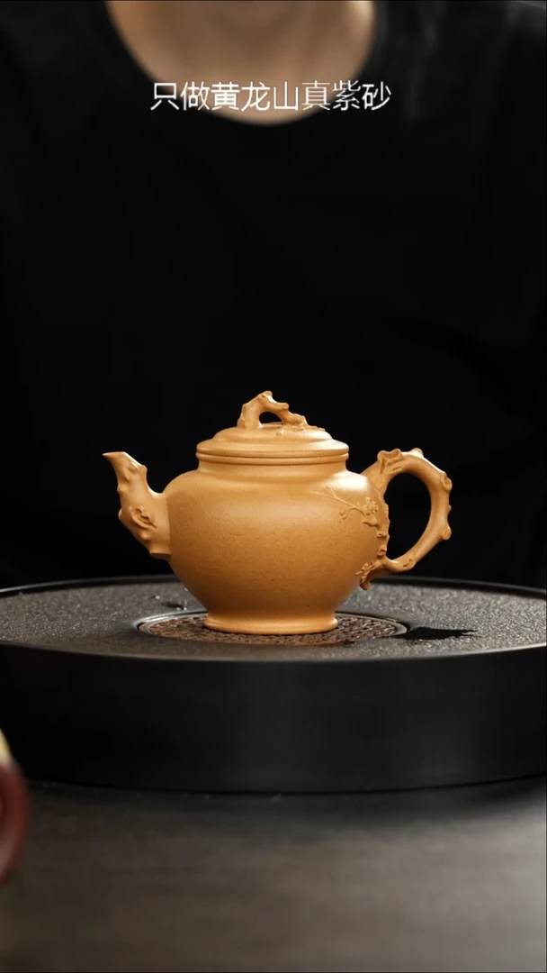 茶壶紫砂老宕口天花板黄金段报春大漏