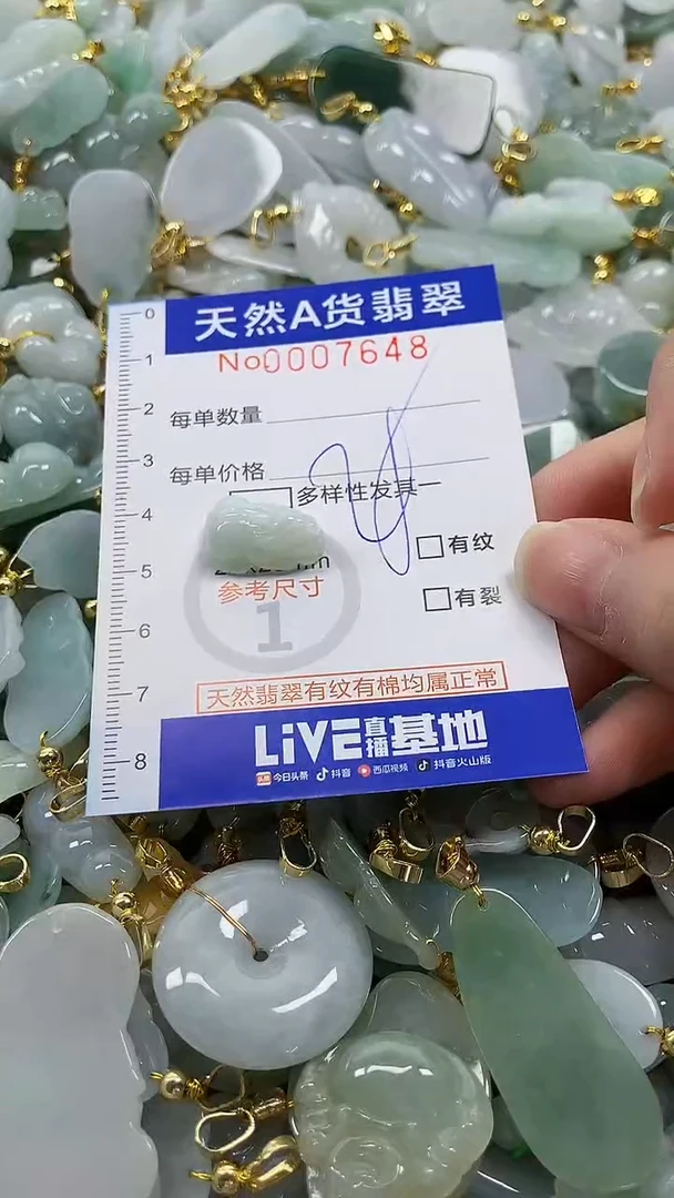 颈饰未镶嵌翡翠纯天然a货翡翠