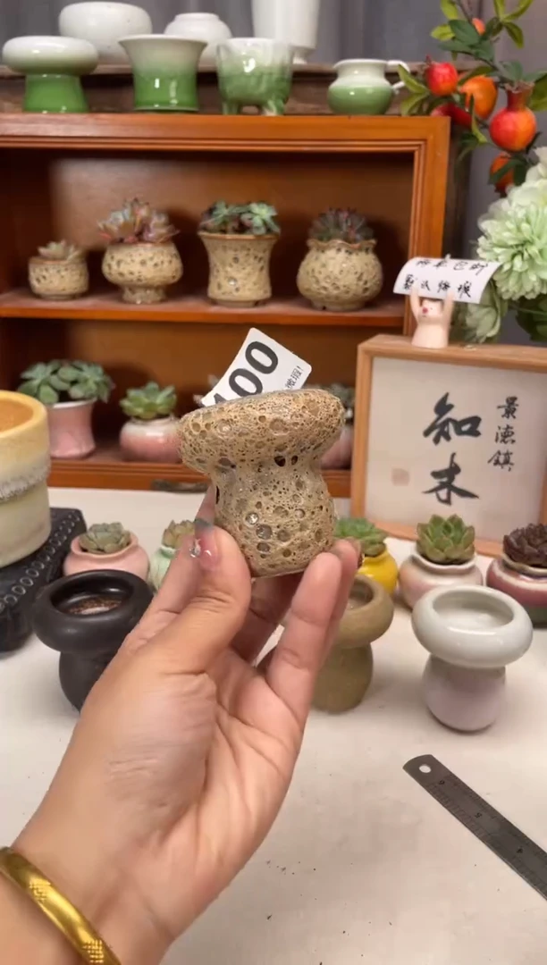 瓷片100知木小芳花盆直播编号