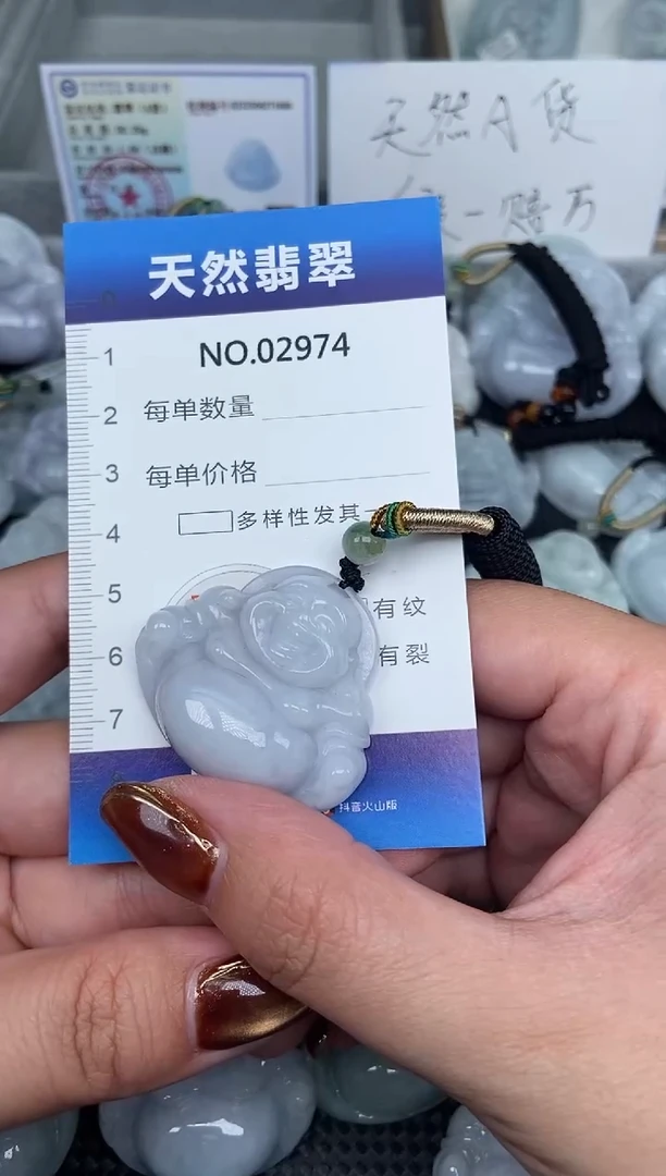 颈饰未镶嵌翡翠纯天然A货翡翠2974