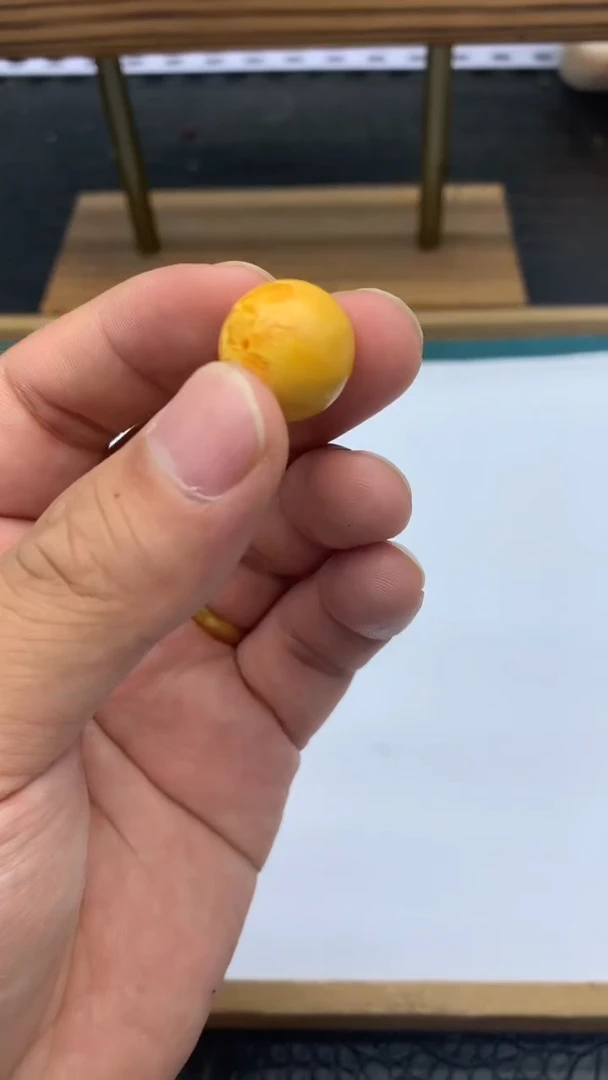 QQ50一颗单株16mm