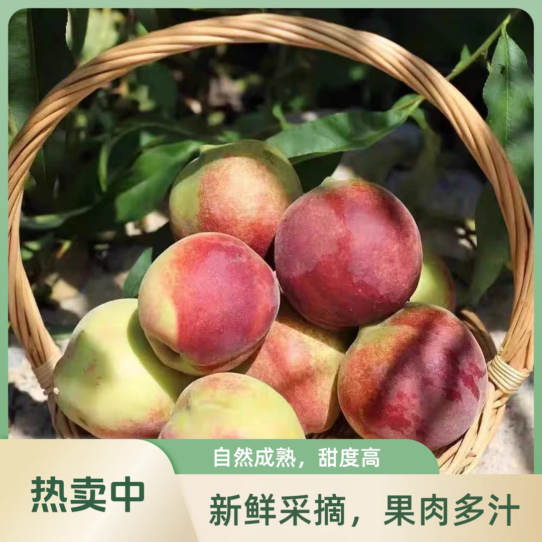 【顺丰包邮明日达】青蜜桃当季头茬毛桃3斤5斤带箱装桃子江苏省