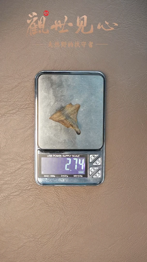 沉香沉香碎屑莱特三代  2.74g