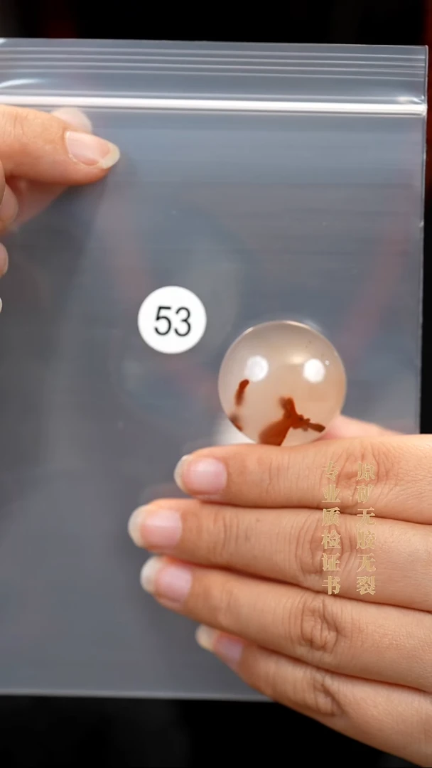 吊坠(不含链)未镶嵌南红玛瑙平*平原矿无优化无胶裂冰飘圆牌