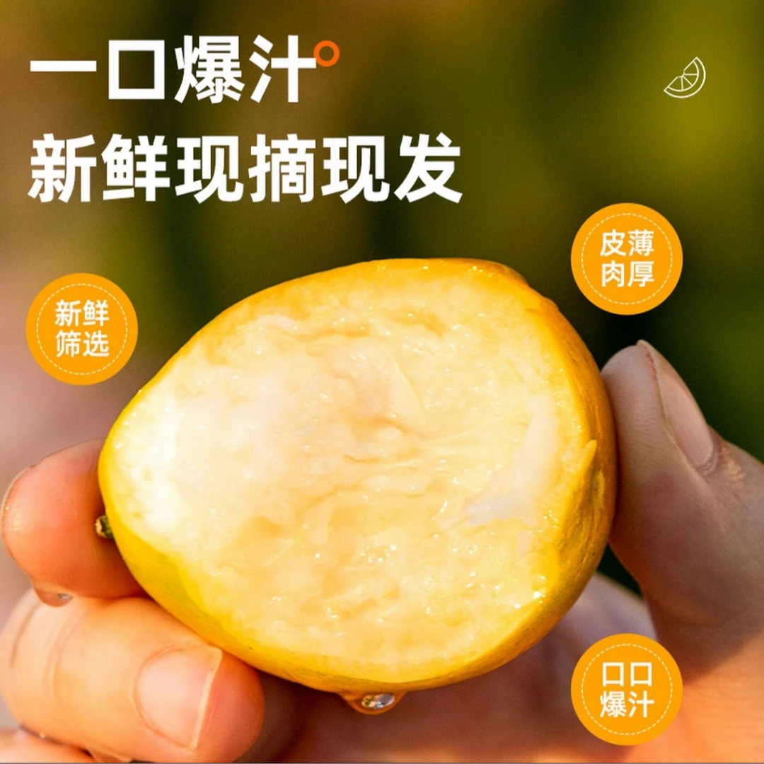 广西脆蜜金柑香甜应季水果蜂蜜金柑新鲜带皮吃水果独立包装
