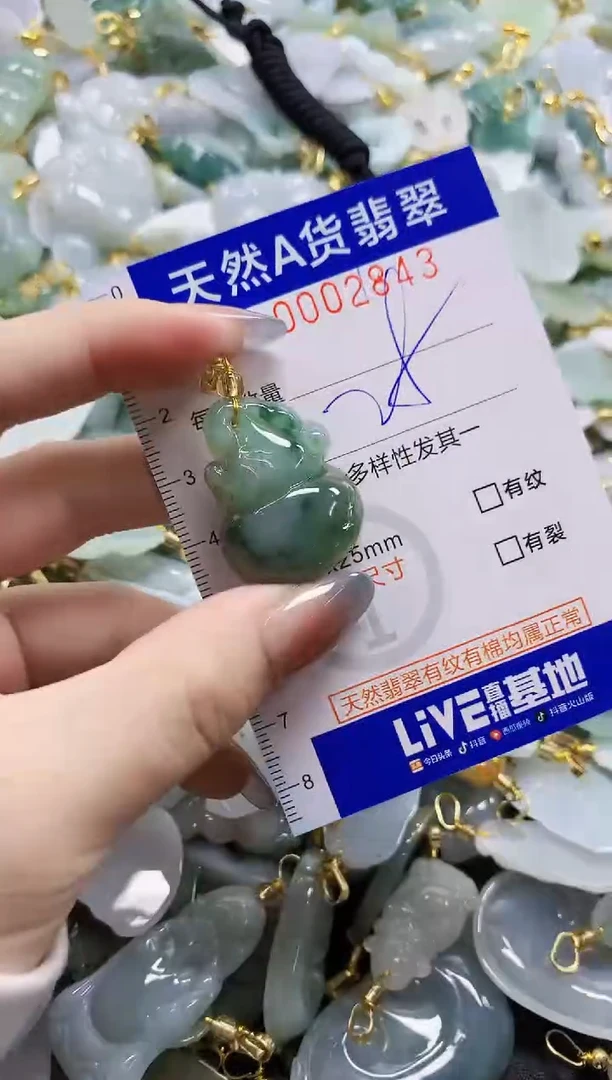 颈饰未镶嵌翡翠纯天然a货翡翠