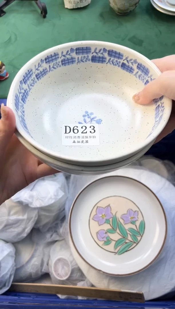【闪购商品】瓷片          D623
