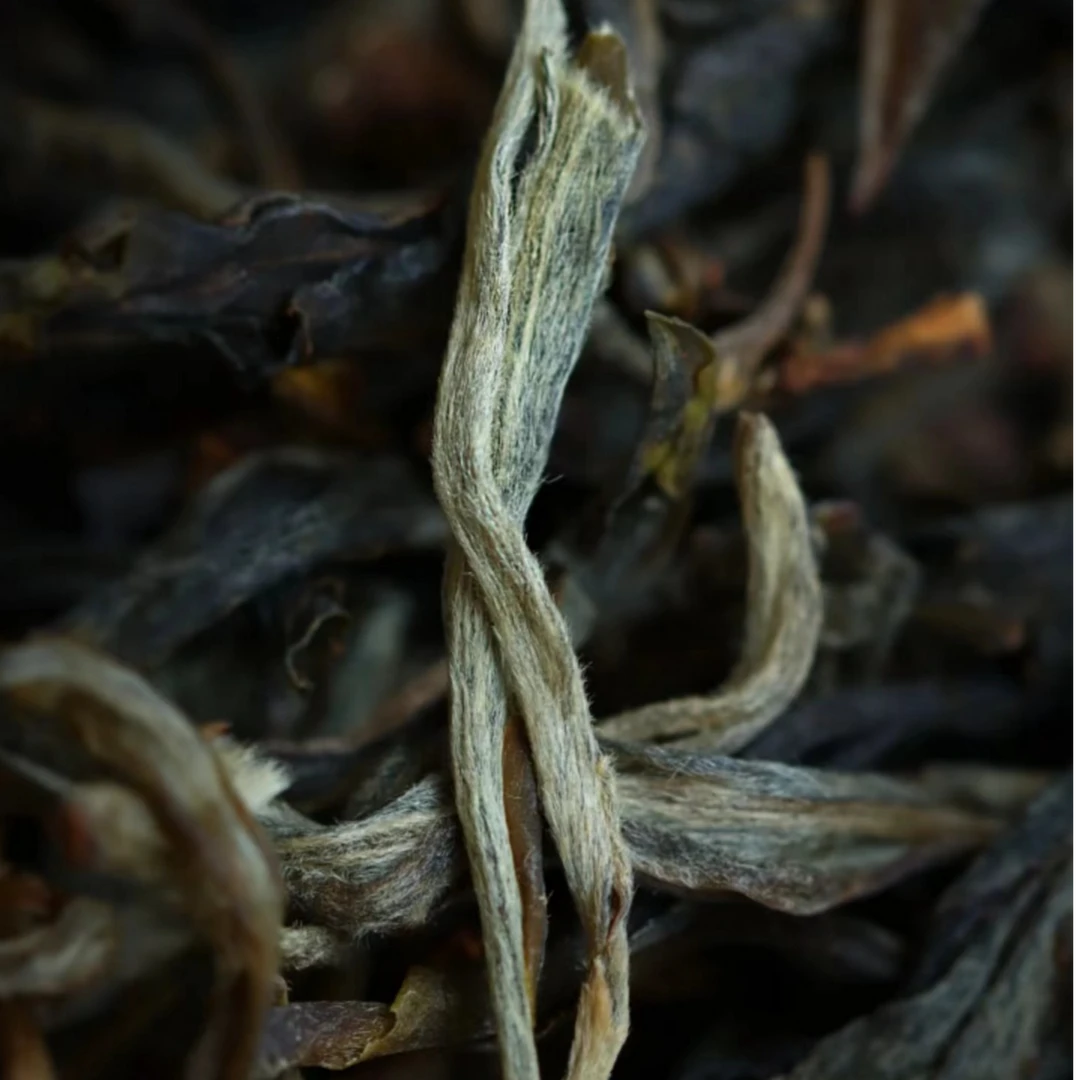 【猎虎山】2025年/猎虎山/古树/普洱生茶/散茶100克