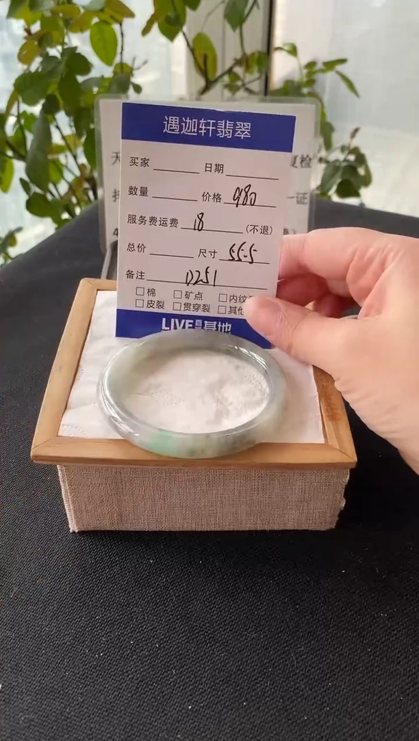 未镶嵌手镯翡翠56圈口 D251编码
