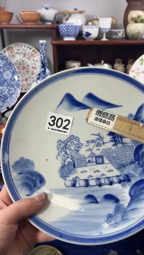 【闪购商品】瓷片302.............