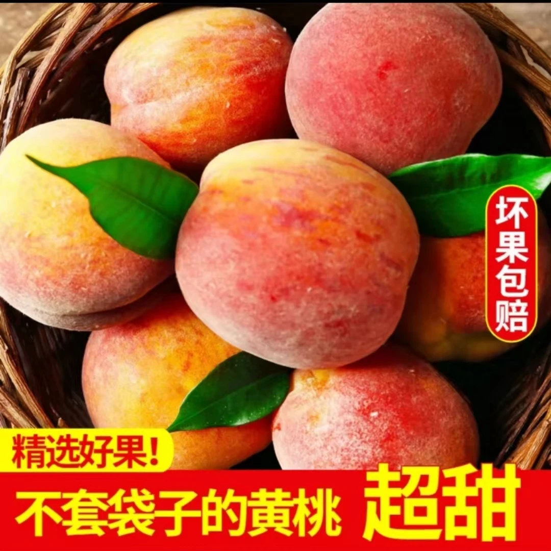 湖北雁门口应季现摘新鲜脆甜黄桃黄肉大果香脆甜桃子水果包邮