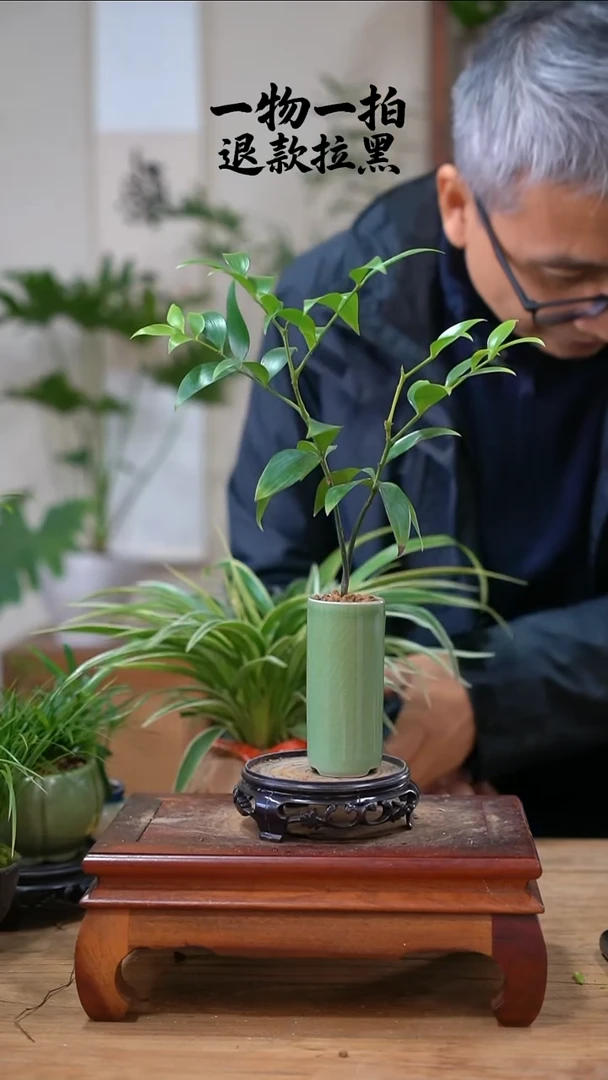 完全开放艾*竹柏003