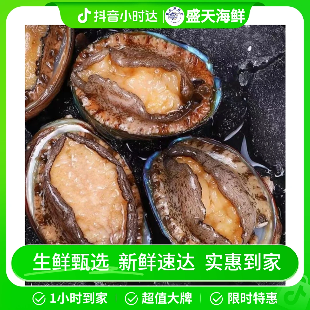 鲜活鲍鱼/1个装