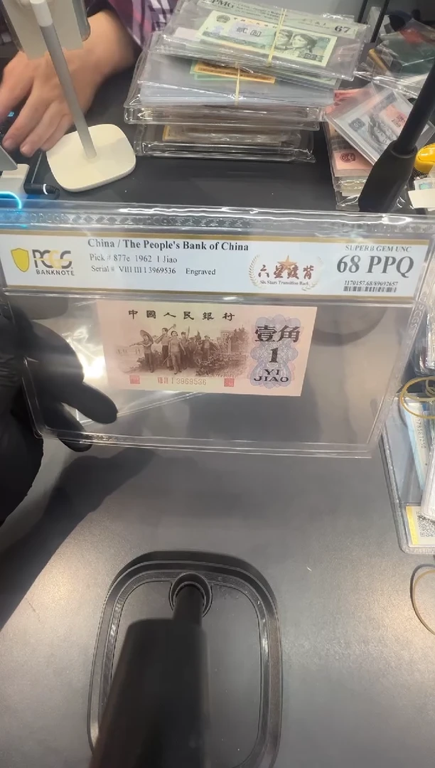 六星渡背尾536单张