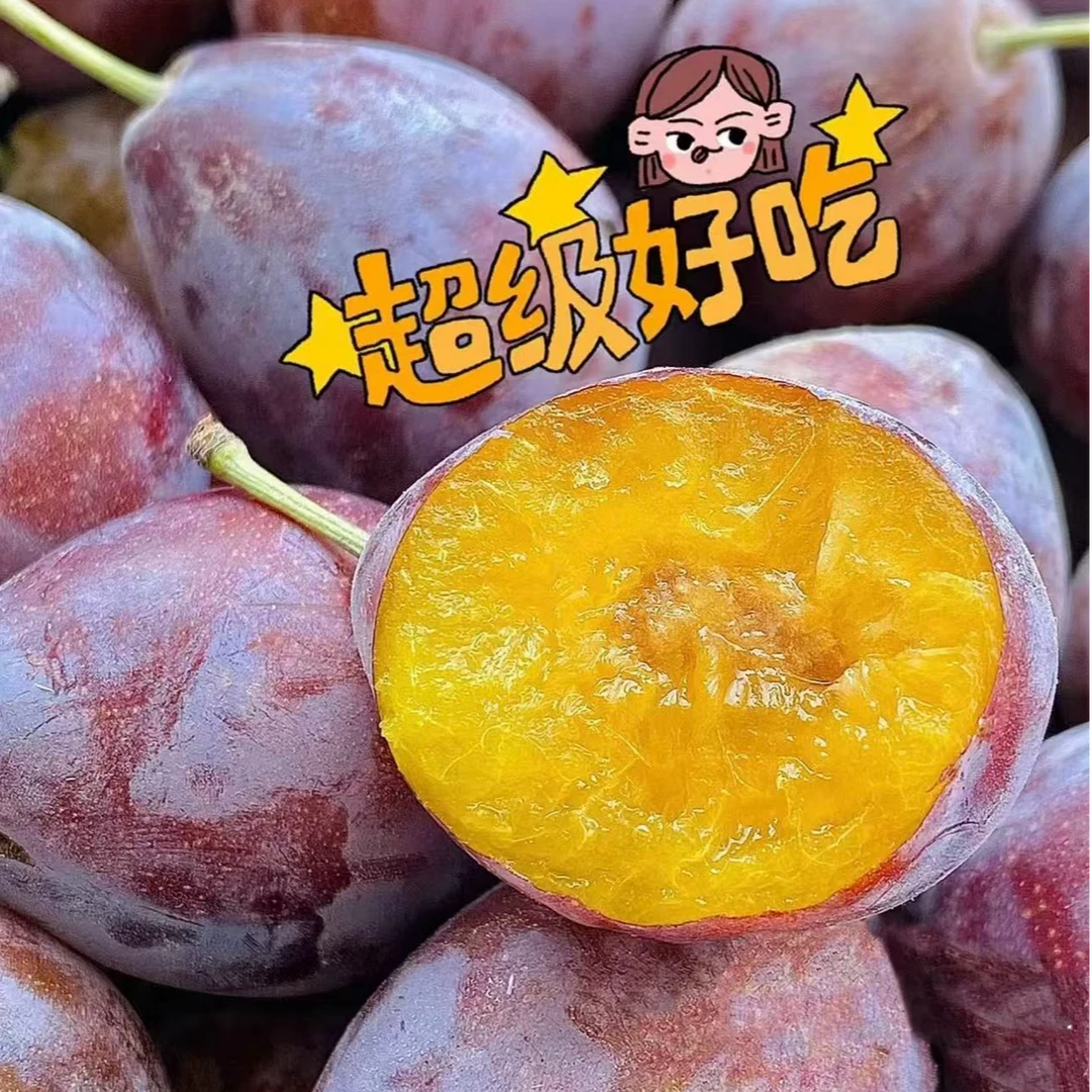 【青总甄选】 西梅  约3斤 有个别损耗介意慎拍