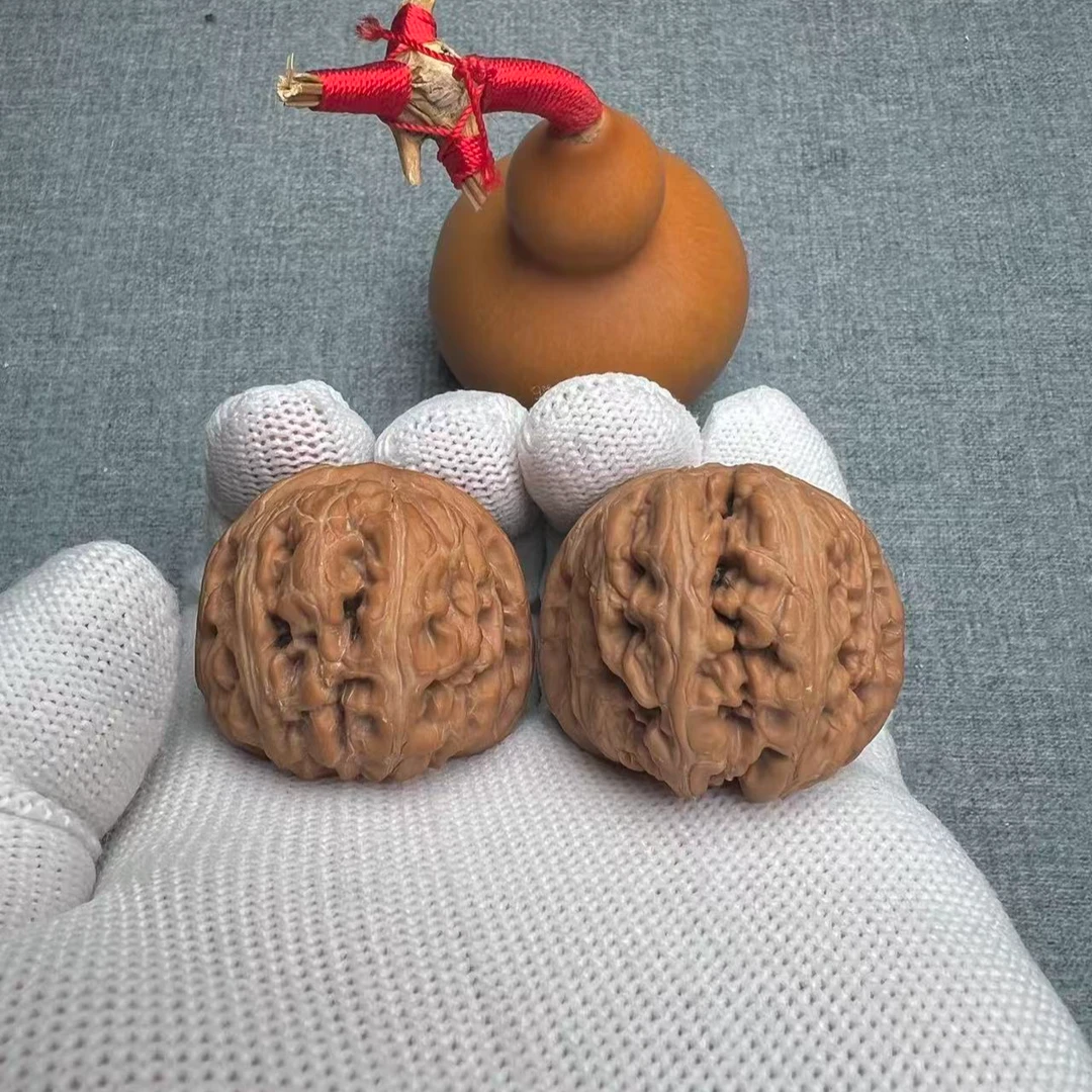 精品元宝-无修 无黄白尖 红皮 打手 高性价比（40004）