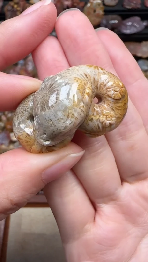 颈饰未镶嵌硅化珊瑚（珊瑚玉）316