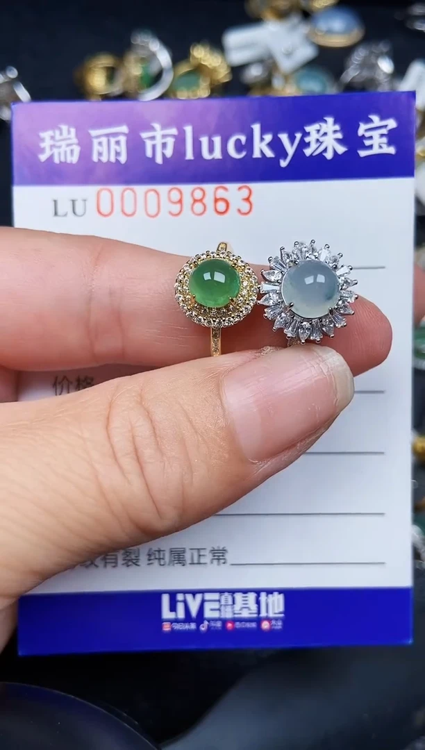 翡翠银S925镶嵌颈饰9863