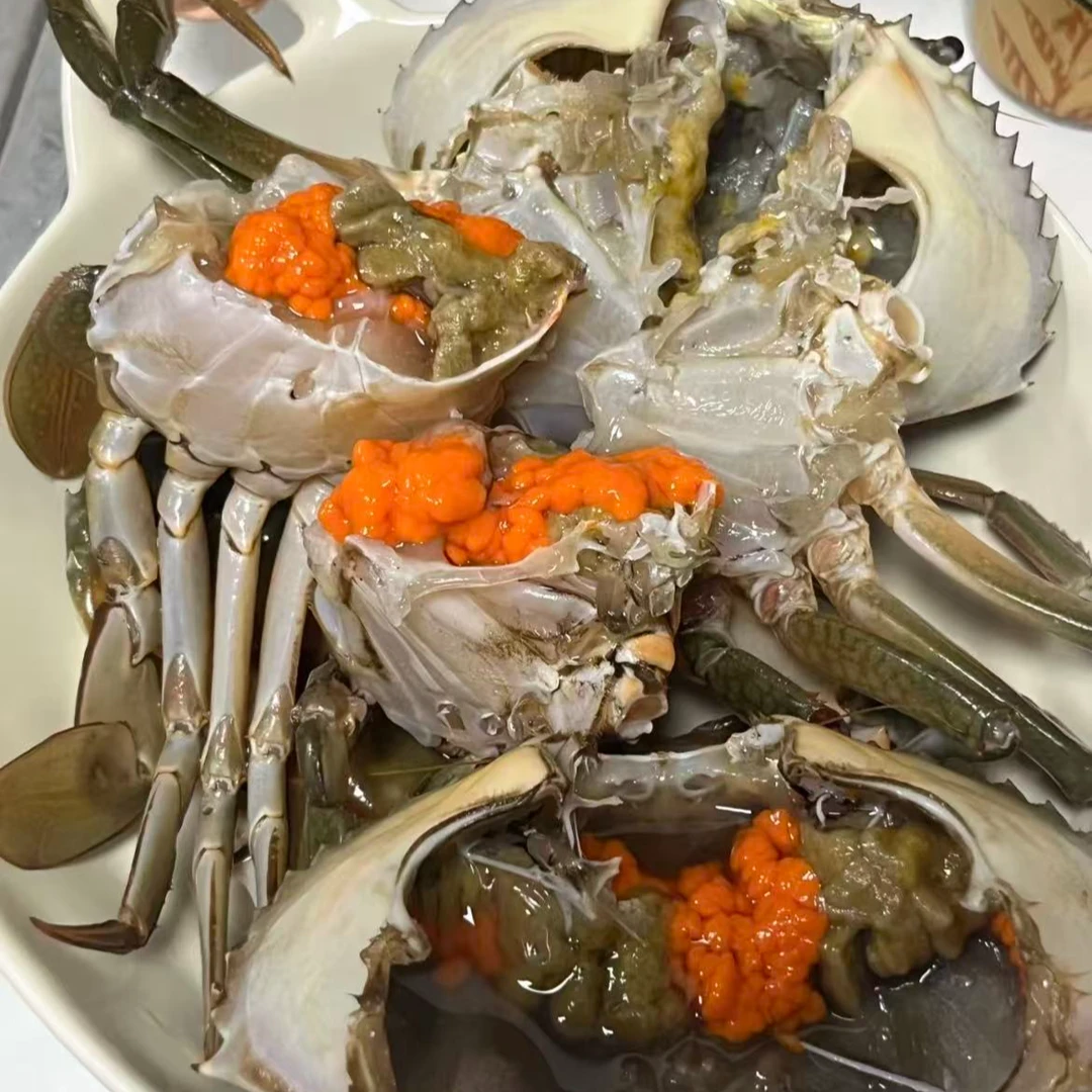 【买3只送3只】红膏蟹活发活到 青蟹母蟹 有黄有膏2-3两 盛（新）