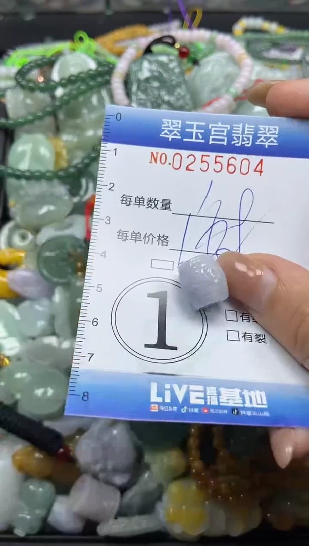 颈饰未镶嵌翡翠闪购C0255604